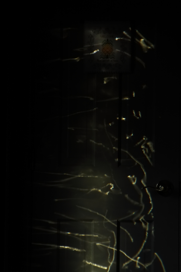 2012 11 22 9999 66